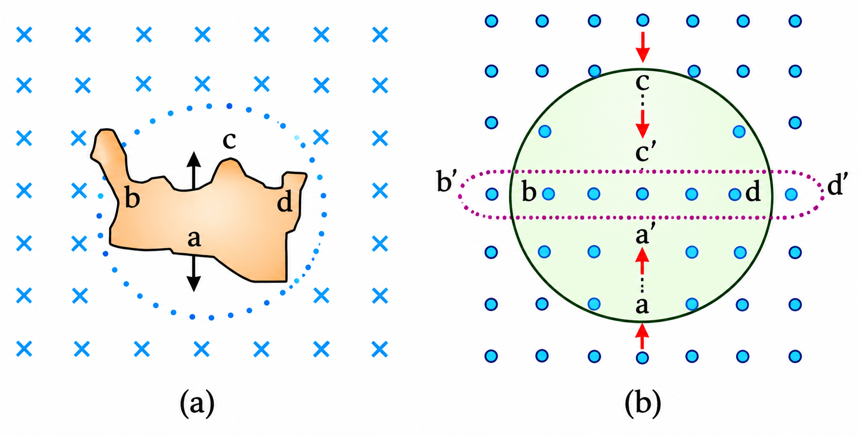 Figure 6.16: Exercise 6.2 loop deformations